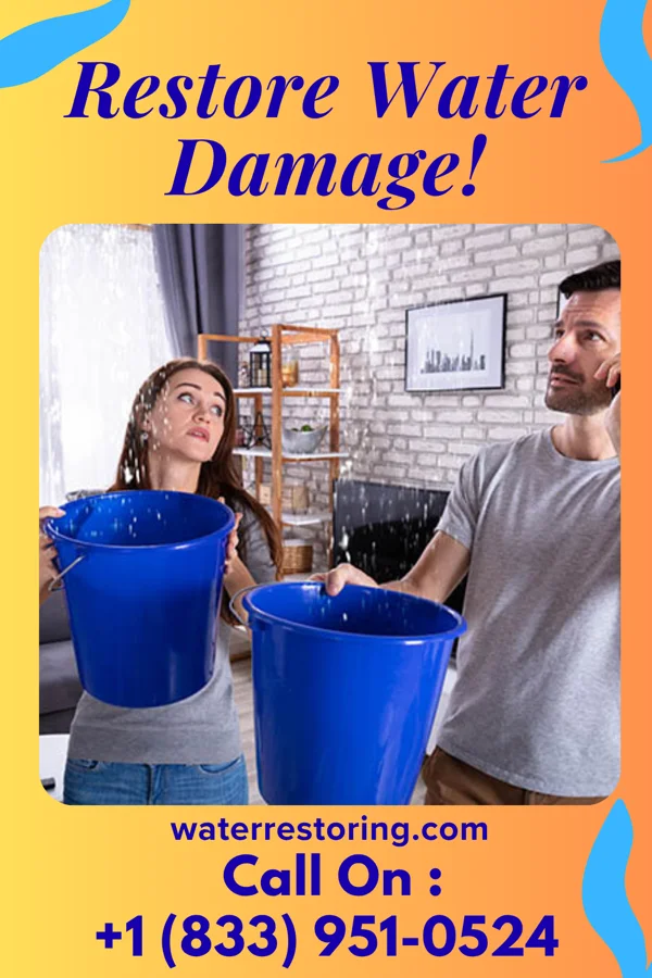 water restoration Platinum Water Cleanup Services Cherry Grove