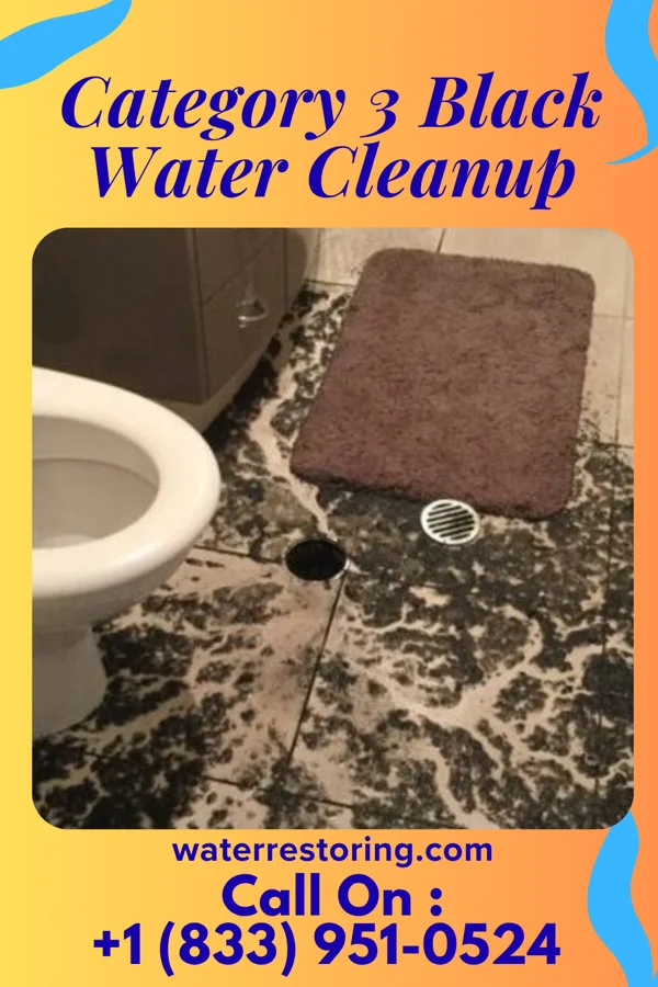 Category 3 Black Water Cleanup in Cherry Grove, OH