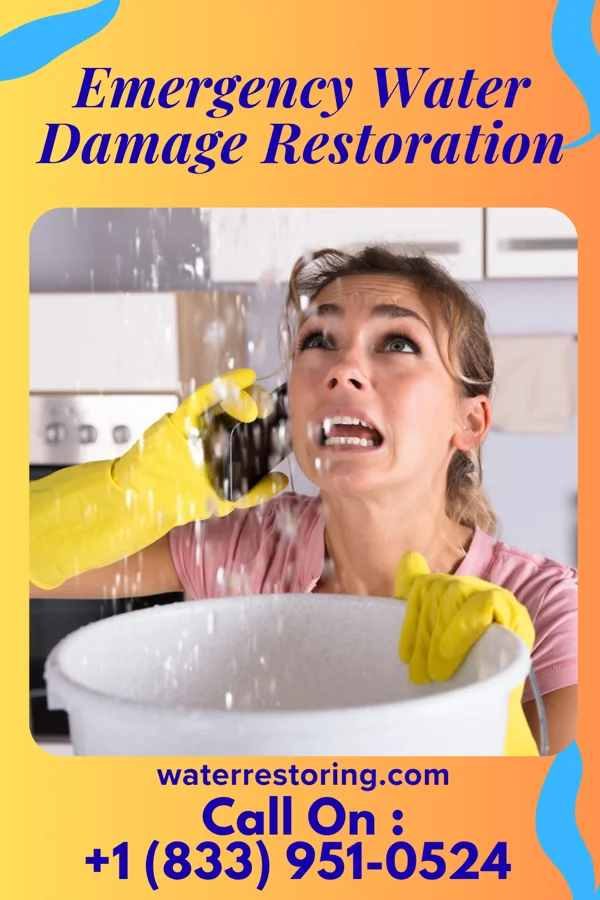 Emergency Water Damage Restoration in Cherry Grove, OH