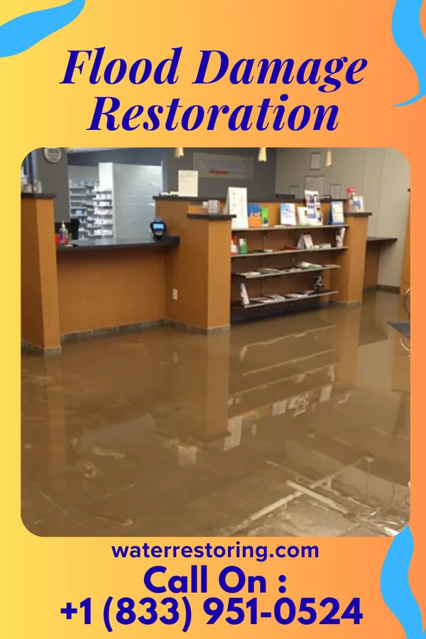 Flood Damage Restoration in Cherry Grove, OH