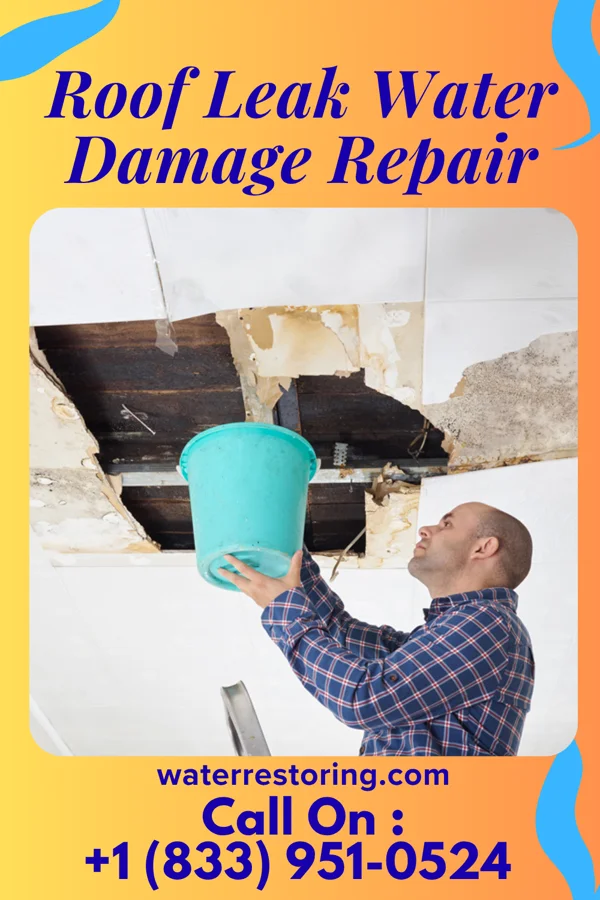 Roof Leak Water Damage Repair in Cherry Grove, OH