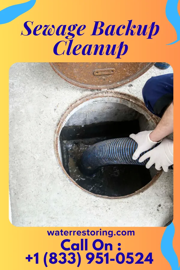 Sewage Backup Cleanup in Cherry Grove, OH