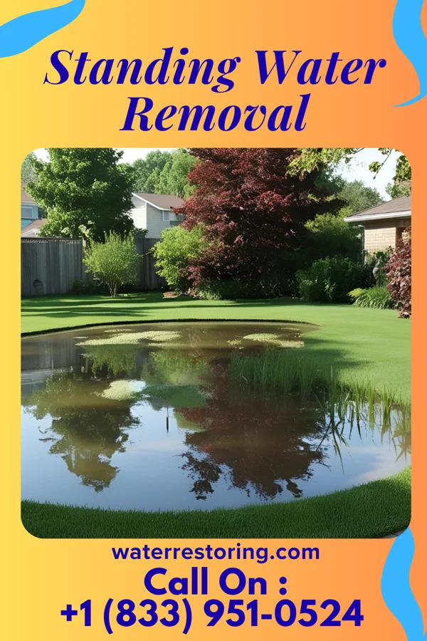 Standing Water Removal in Cherry Grove, OH
